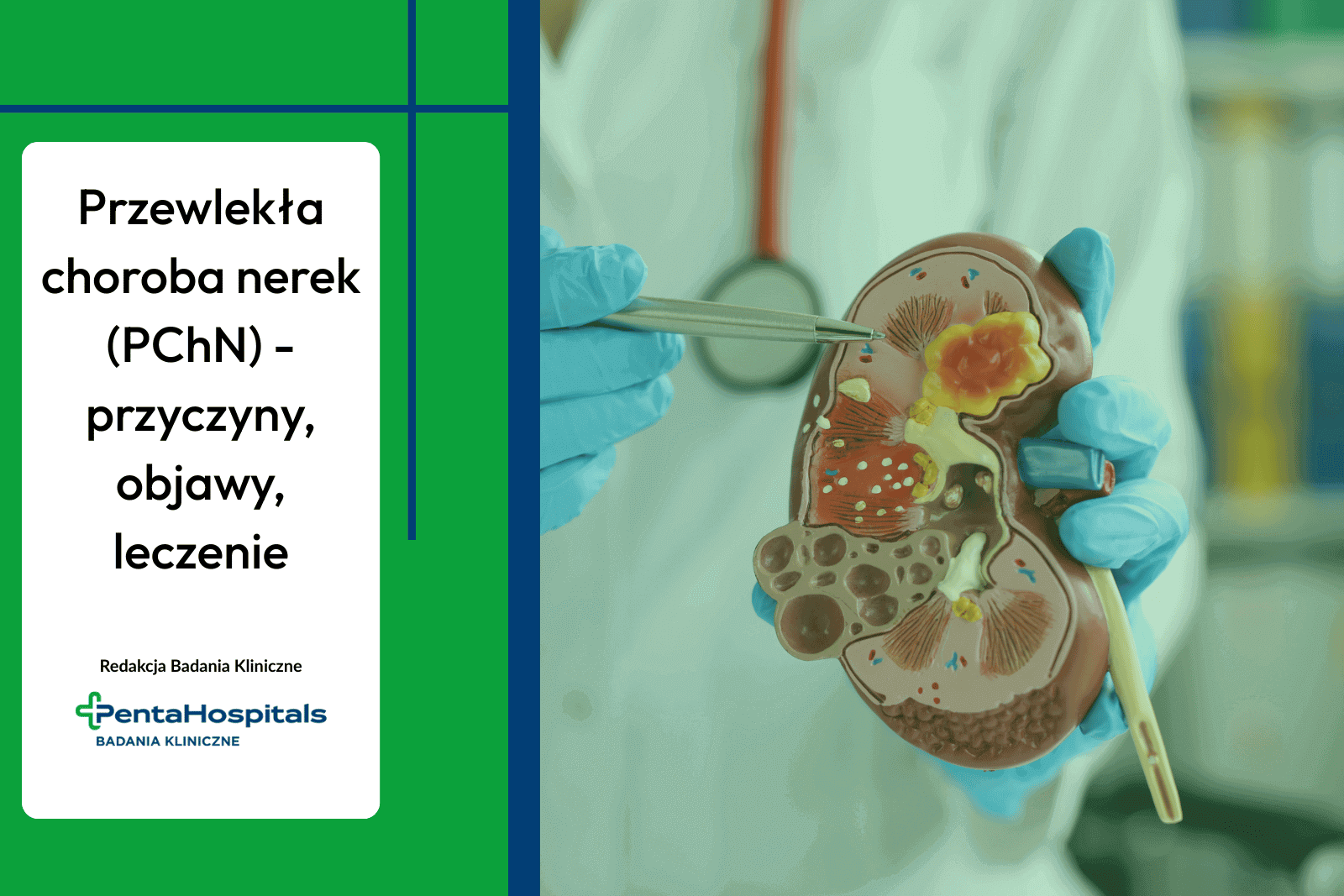 Przewlekła choroba nerek (PChN) – przyczyny, objawy, leczenie
